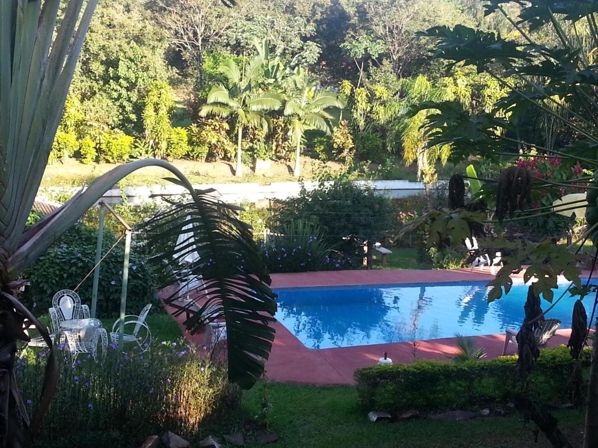 Hotel Los Amigos プエルト・イグアス エクステリア 写真